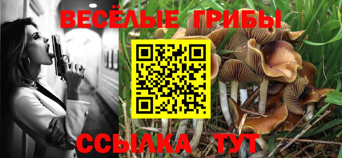 Псилоцибиновые грибы мухоморы  Галлюциногенные грибы мухоморы  Вход с VPN  Вязники 
